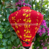 đèn lồng trang trí tết